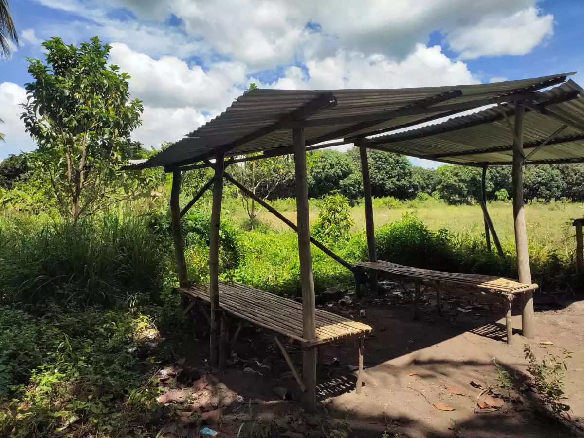 Agricultural Lot Situated at Silway 7, Polomolok, South Cotabato — Agricultural Lot in South Cotabato, Philippines — Photo 3