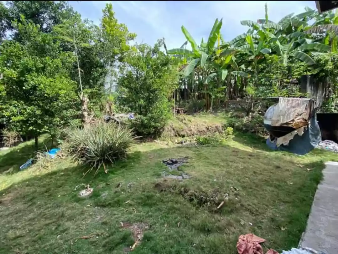 Residential Lot in Talamban — Residential Lot in Cebu City, Cebu, Philippines — Photo 4