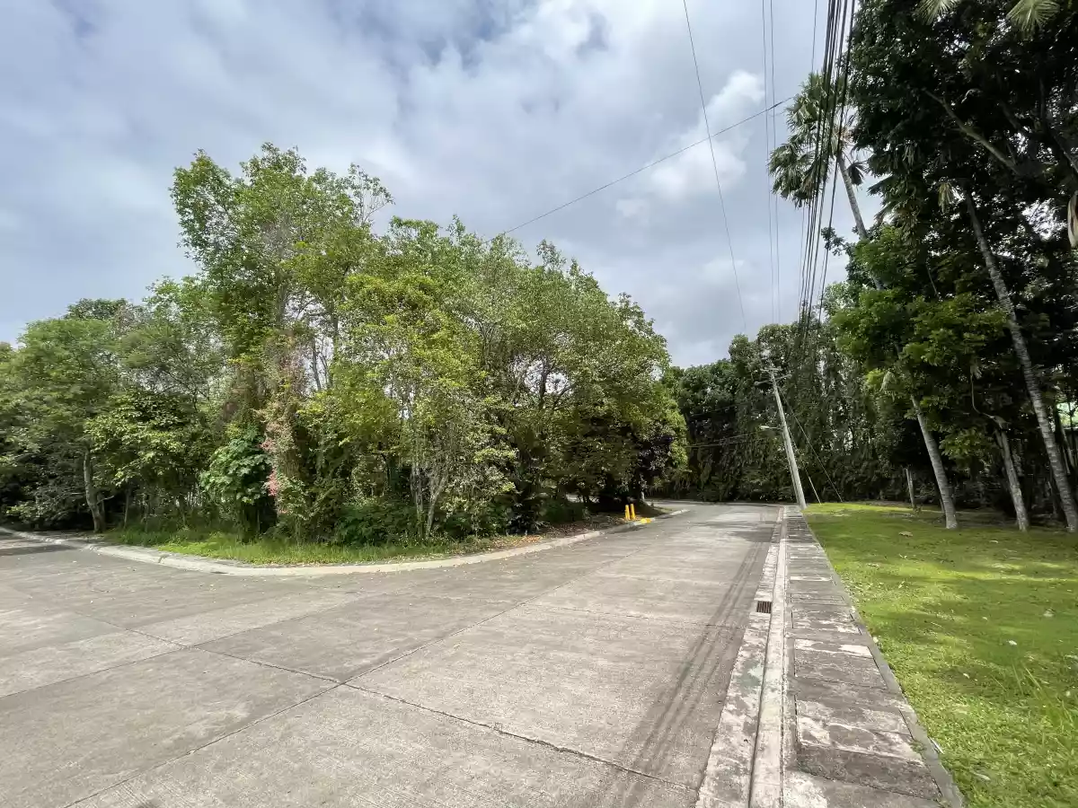 Open photo 11 of 19 — Las Terrazas Lot for Sale