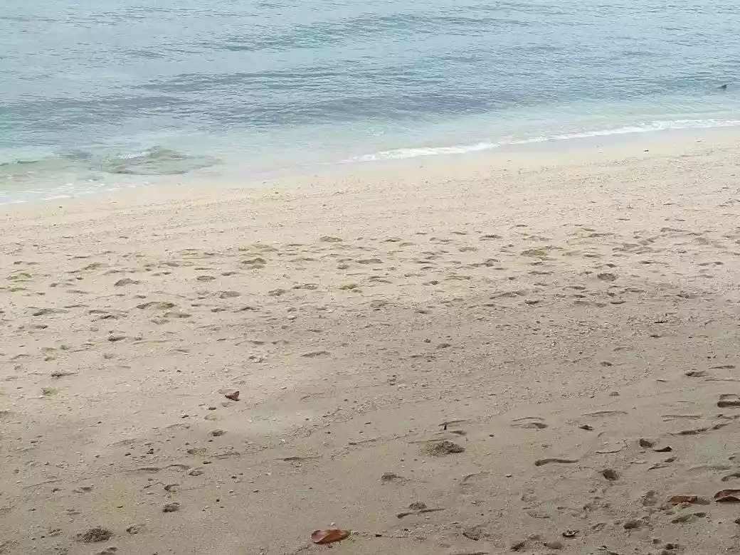Beach Line Lot for Sale — Beach Lot in Island Garden City of Samal, Davao del Norte, Philippines — Photo 4
