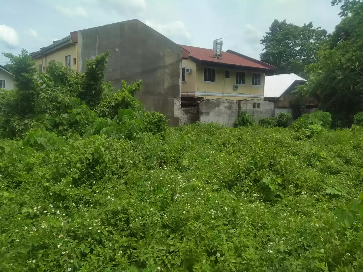 RESIDENTIAL LOT IN TUNGHAAN - photo 3