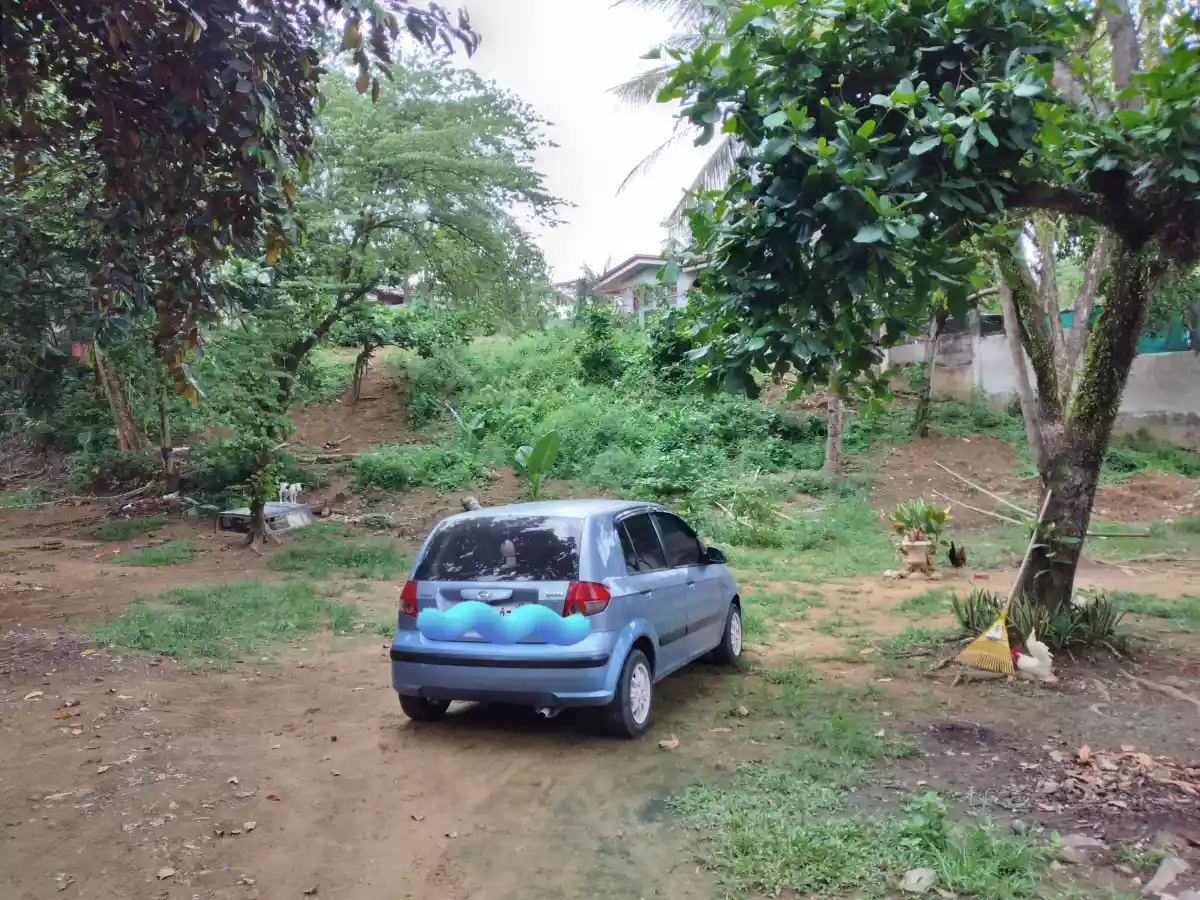 Lot only for Sale - photo 3