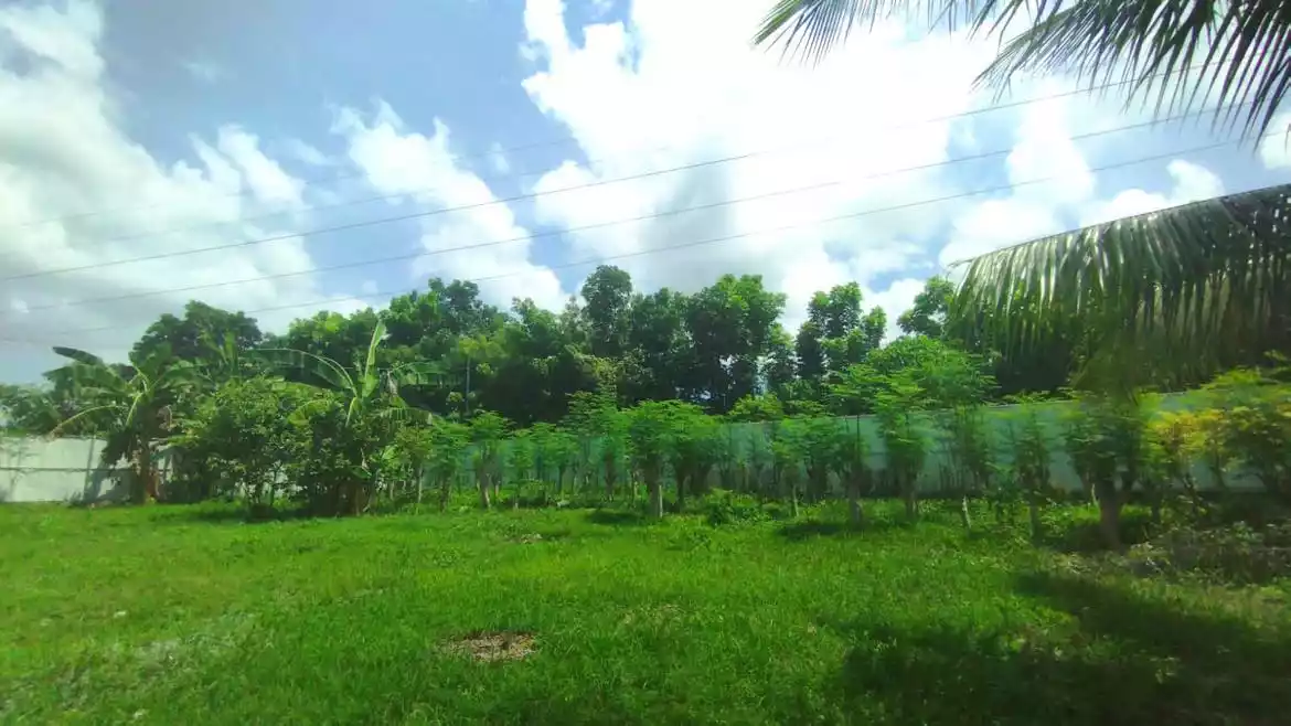 LOT FOR SALE IN SAN FERNANDO CEBU - photo 4