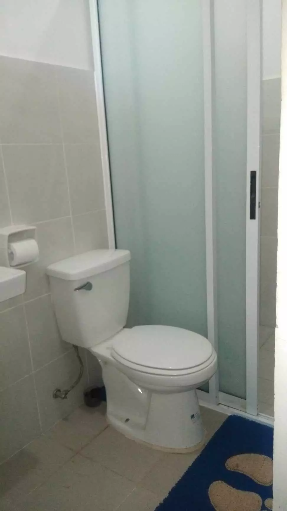 FULLY FURNISHED HOUSE AND LOT FOR SALE IN VILLA SEBASTIANA MANDAUE  - photo 7