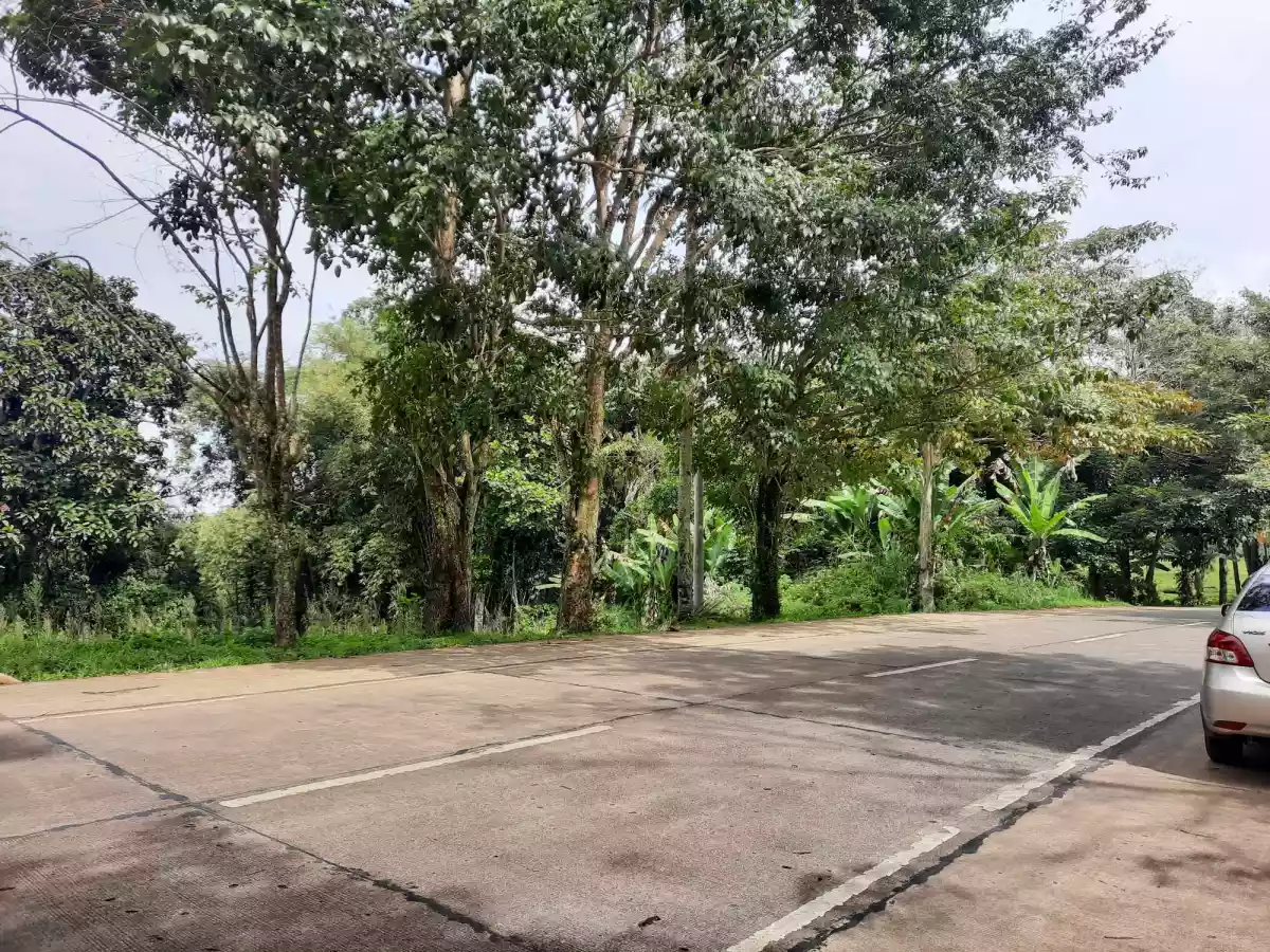 Lot for Sale in Claveria, Misamis Oriental! — Agricultural Lot in Misamis Oriental, Philippines — Photo 3