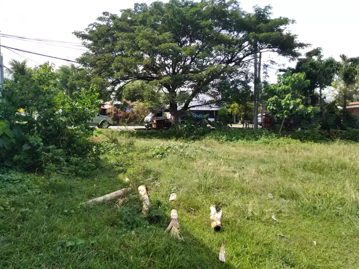 Industrial Lot for sale - photo 4