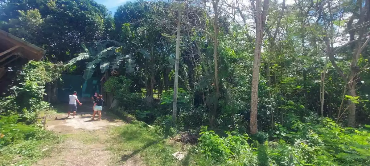 Lot for sale - photo 7