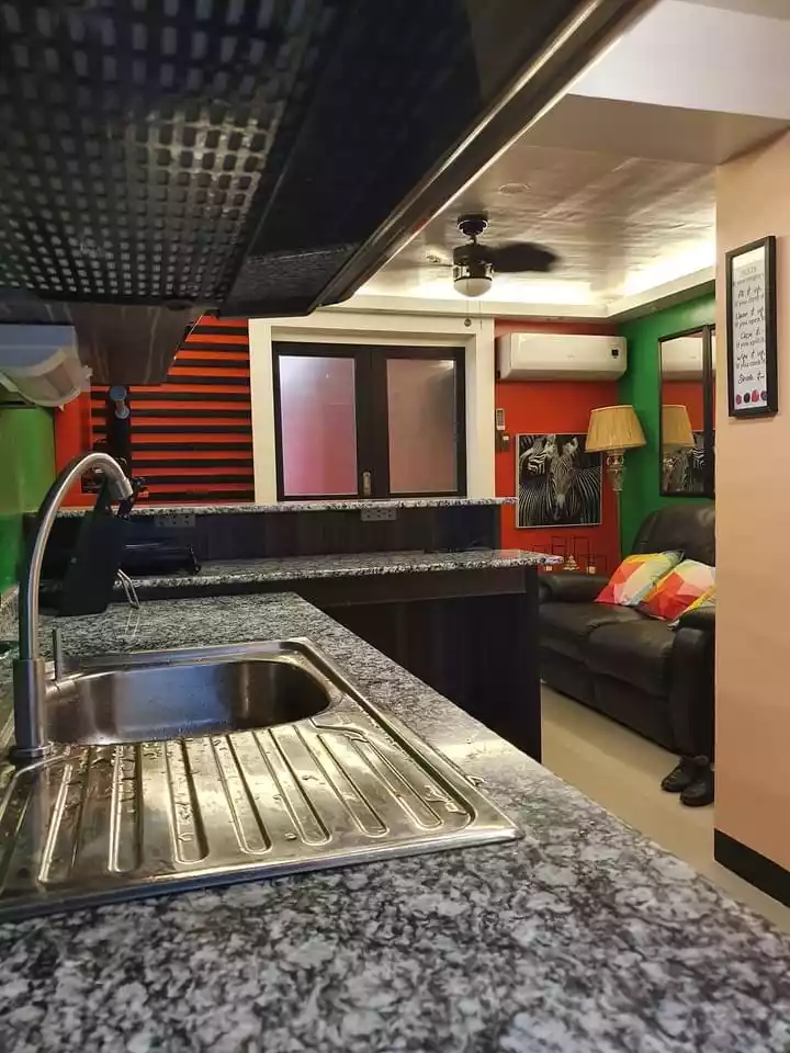 Fully Furnished 1 Bedroom Condo Unit with Parking - photo 2