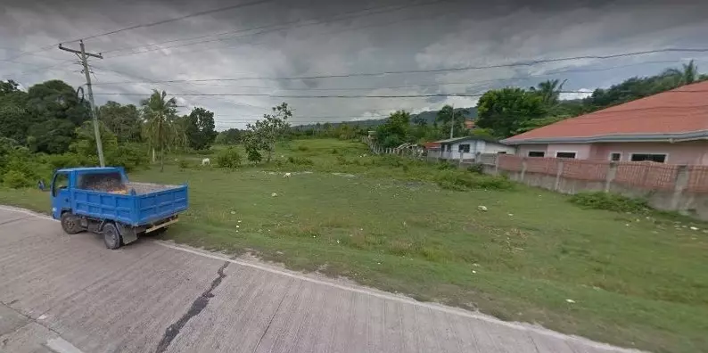 Commercial Lot - Balabagon Moalboal  - photo 4