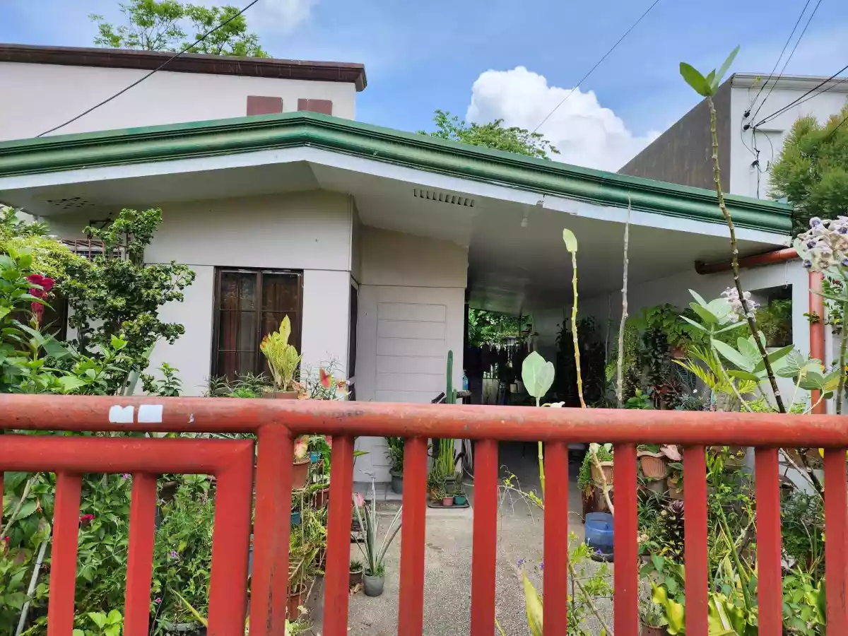 Morning Mist House For Sale - photo 5