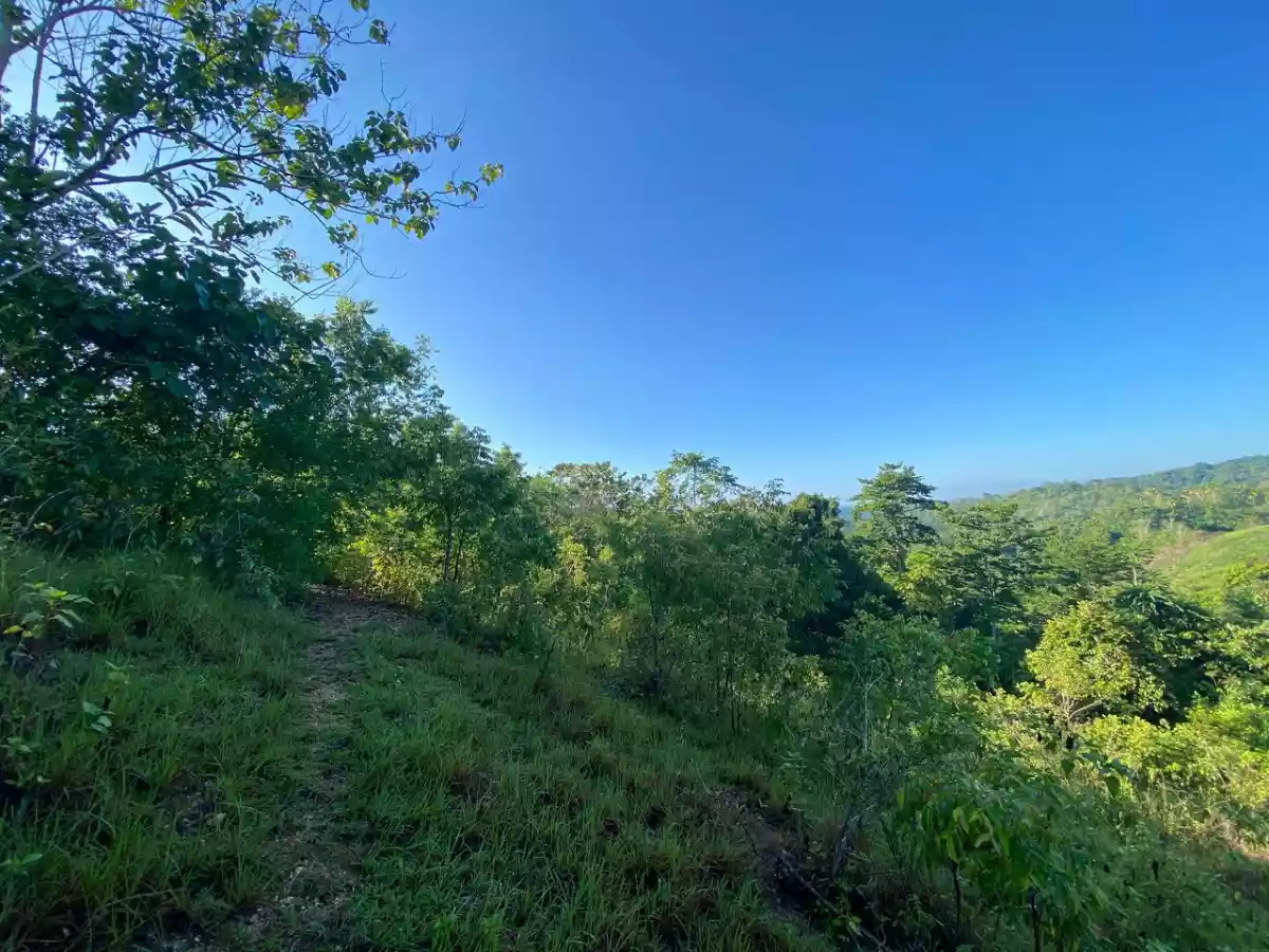 Open photo 14 of 27 — Over Looking LOT FOR SALE along Brgy Road Bayanga, Cagayan de Oro City