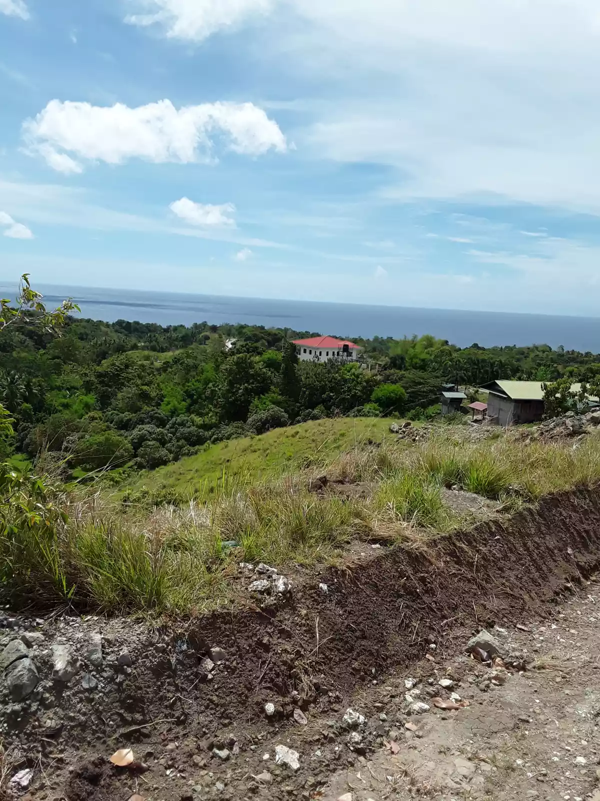 Lot for sale — Agricultural Lot in Guindulman, Bohol, Philippines — Photo 2