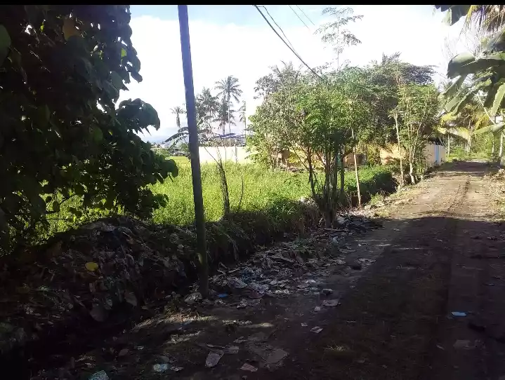 493 sqm lot in Balayo Subd. - photo 6