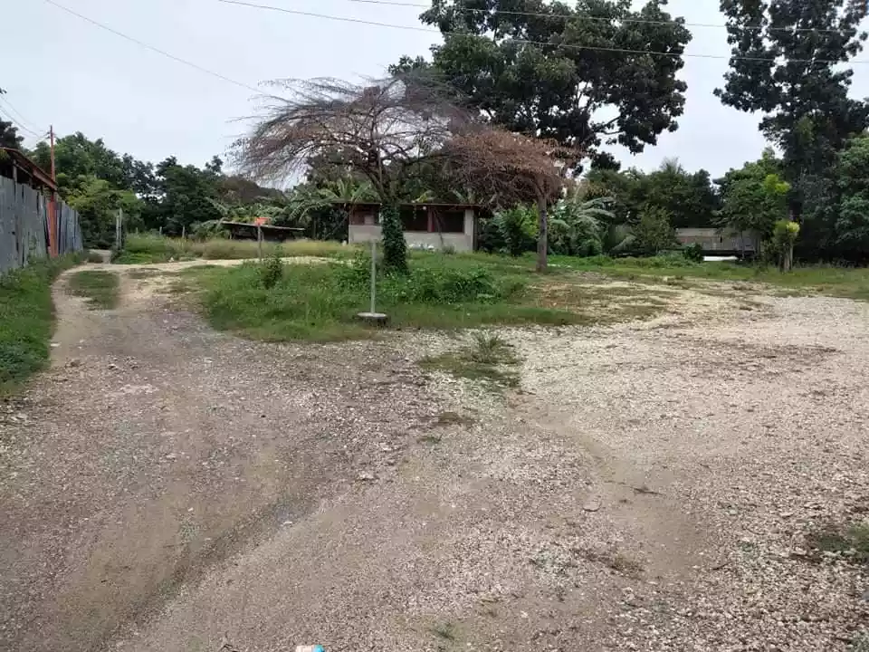 Lot for Sale  - photo 2