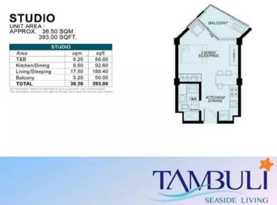 Tambuli Seaside Side Living Condo Studio Resell and Assume  - photo 7