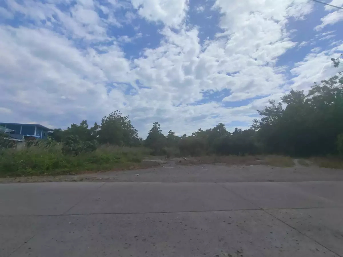 "Lot for sale Main road near UST" 