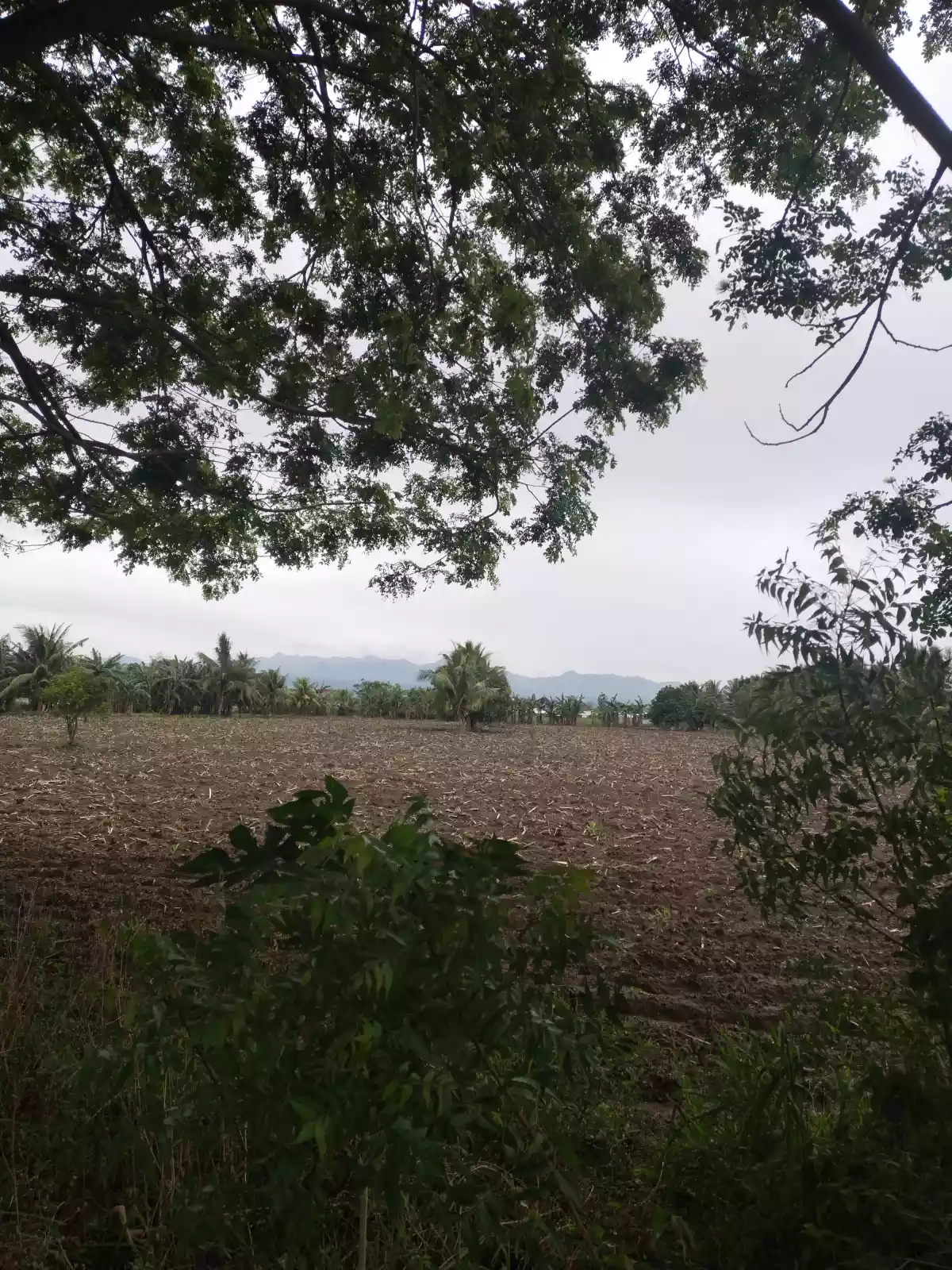 1 hectare ideal for Warehouse — Industrial Lot in General Santos City, South Cotabato, Philippines — Photo 6