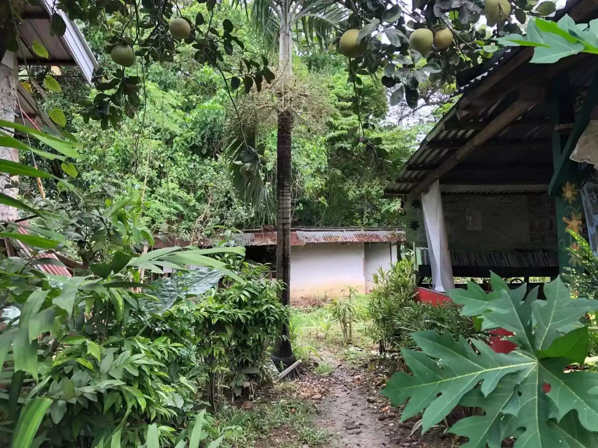 Lot for Sale - photo 3