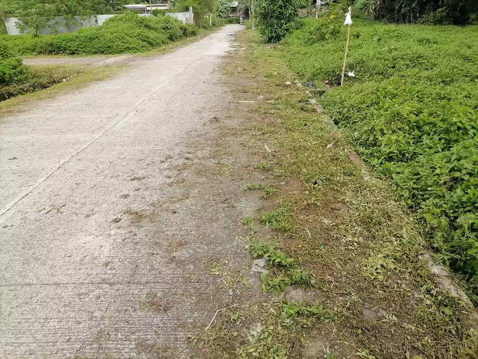 200sqm. lot in Doongan Butuan City along cemented road - photo 2