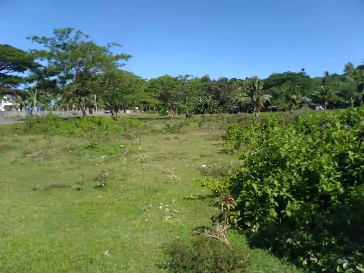 Original Certificate of Title  - photo 6