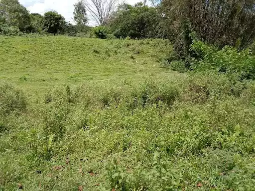 Clean Title — Agricultural Lot in Libona, Bukidnon, Philippines — Photo 2