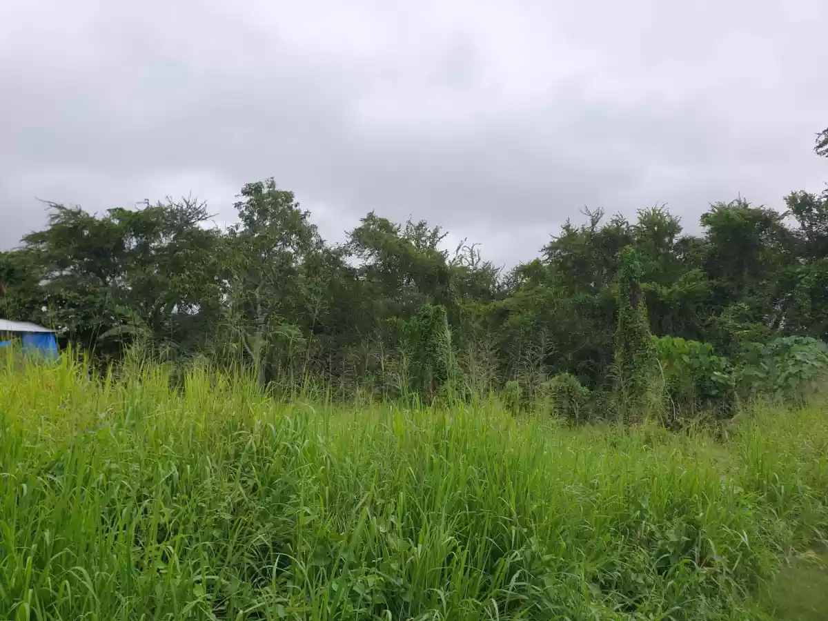 RESIDENTIAL LOT FOR SALEâ€¼ï¸ Lumiyap road, Divisoria,Zamboanga City