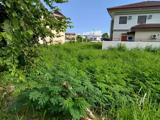 LOT FOR SALE IN CORONA DEL MAR?