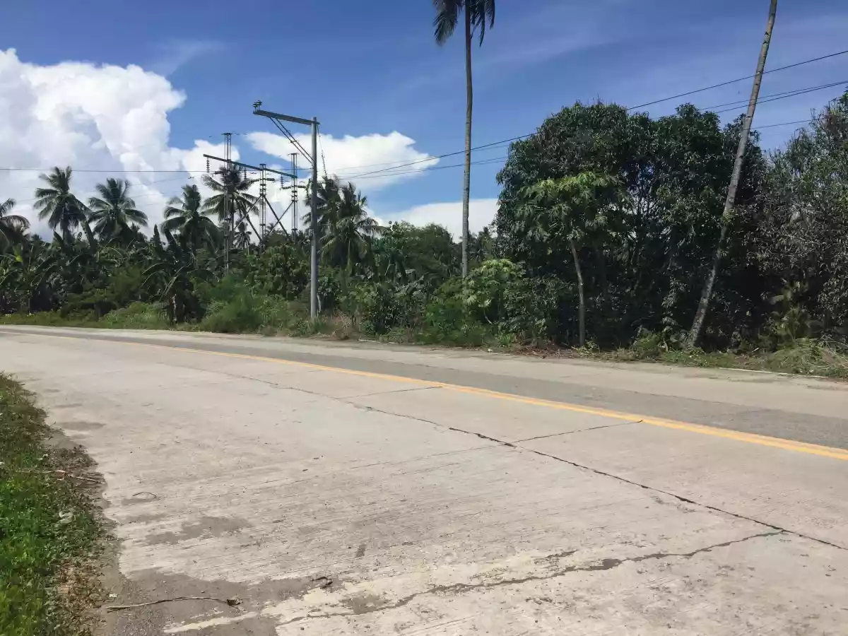 MUDIANG COMMERCIAL LOT — Commercial Lot in Bunawan, Davao City, Davao del Sur — Photo 5