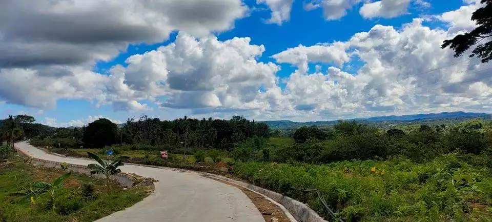 LOT FOR SALE IN BARILI, CEBU - photo 7