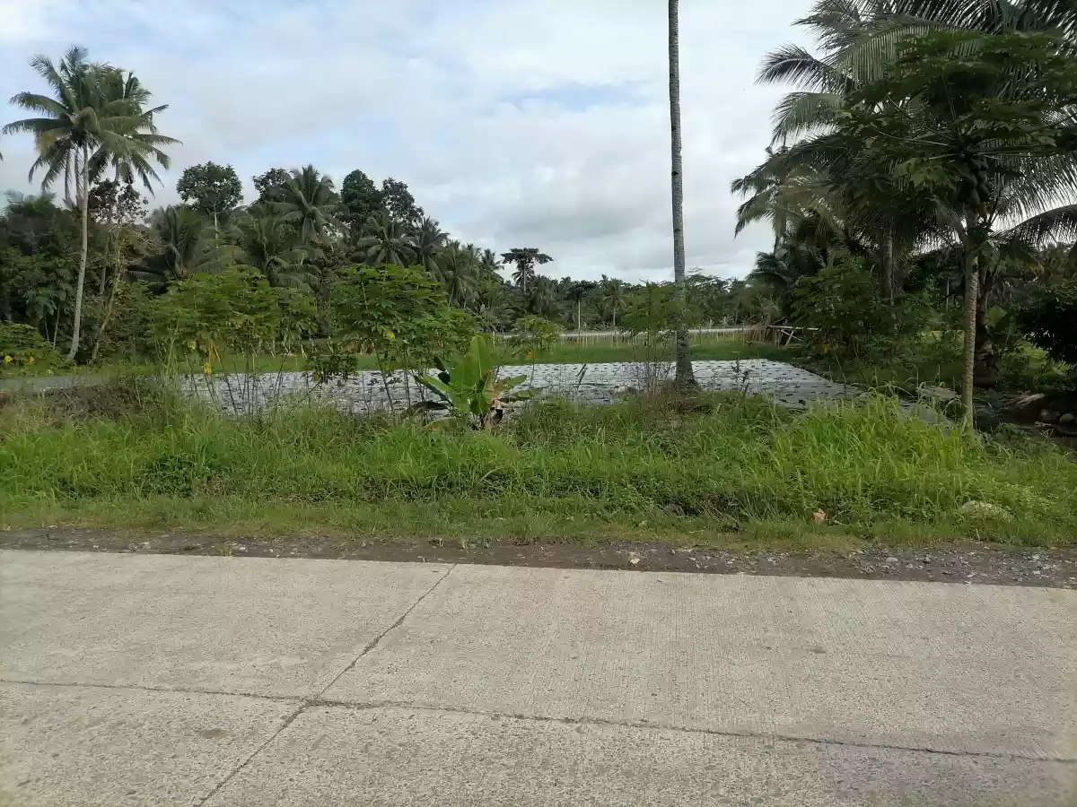 10 titled residential lot — Residential Lot in Agusan Del Norte, Philippines — Photo 4