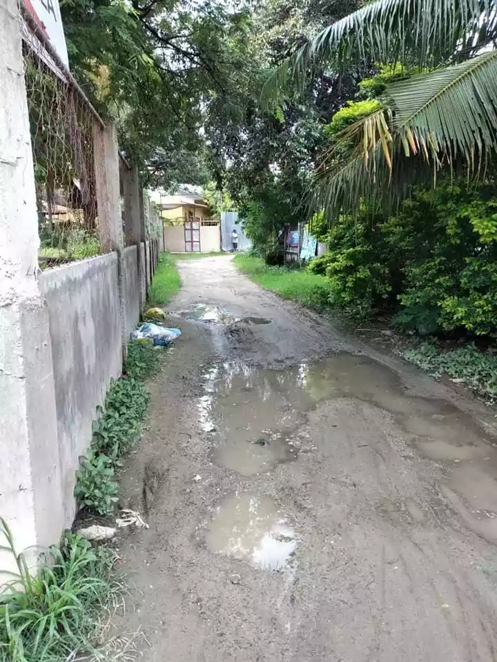 Lot for Sale  - photo 4