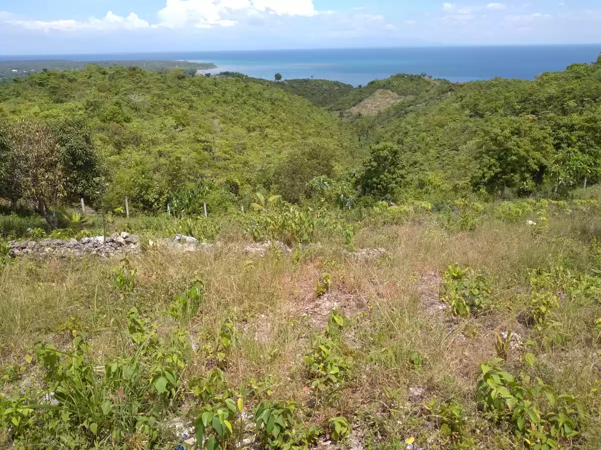 Overlooking Lot for Sale