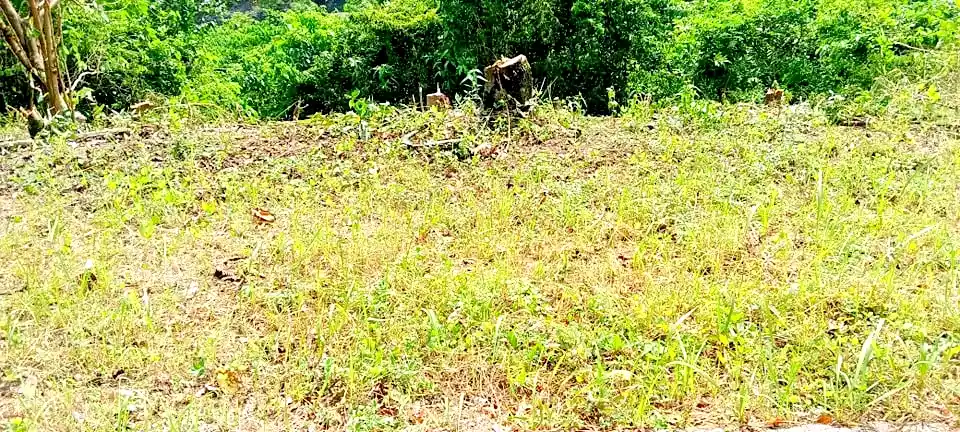LOT FOR SALE IN SOUTH HILLS SUBDIVISION, CEBU CITY — Residential Lot in Cebu South Hills Road, Cebu City, Cebu — Photo 3