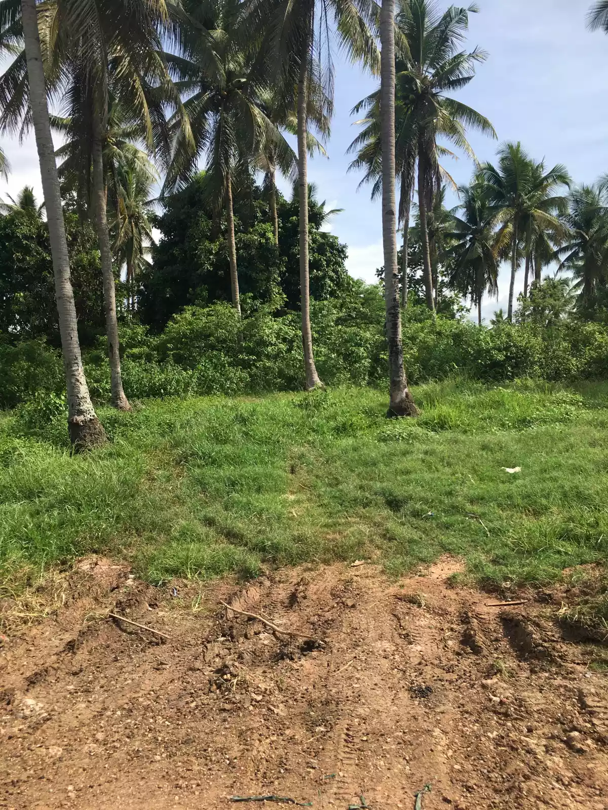 Go Property Amoros El Salvador — Commercial Lot in El Salvador City, Philippines — Photo 5