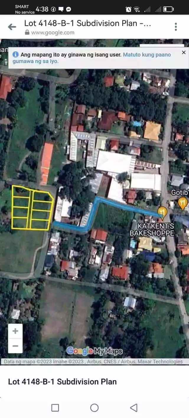Bacagay, Dumaguete City — Agricultural Lot in Dumaguete, Negros Oriental, Philippines — Photo 5