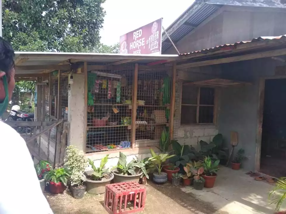 House and lot  sale - photo 3