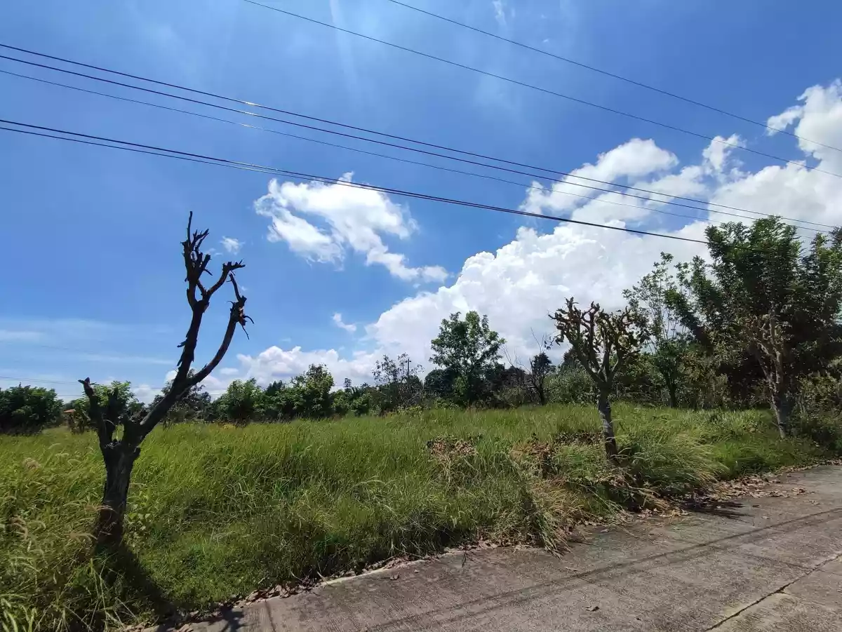 LOT FOR SALE - VILLA DE MERCEDES — Residential Lot in Sirawan-Catigan Road, Toril, Davao City — Photo 2