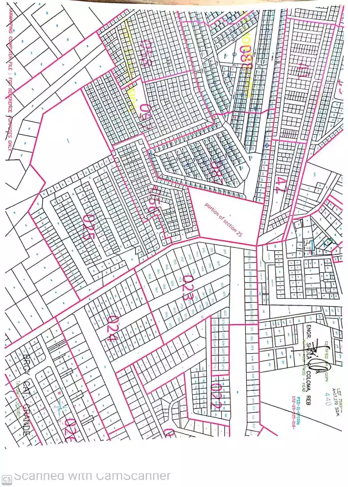 200 sqm lot at Ruby Subdivision — Residential Lot in Emerald Street, Talomo, Davao City — Photo 5