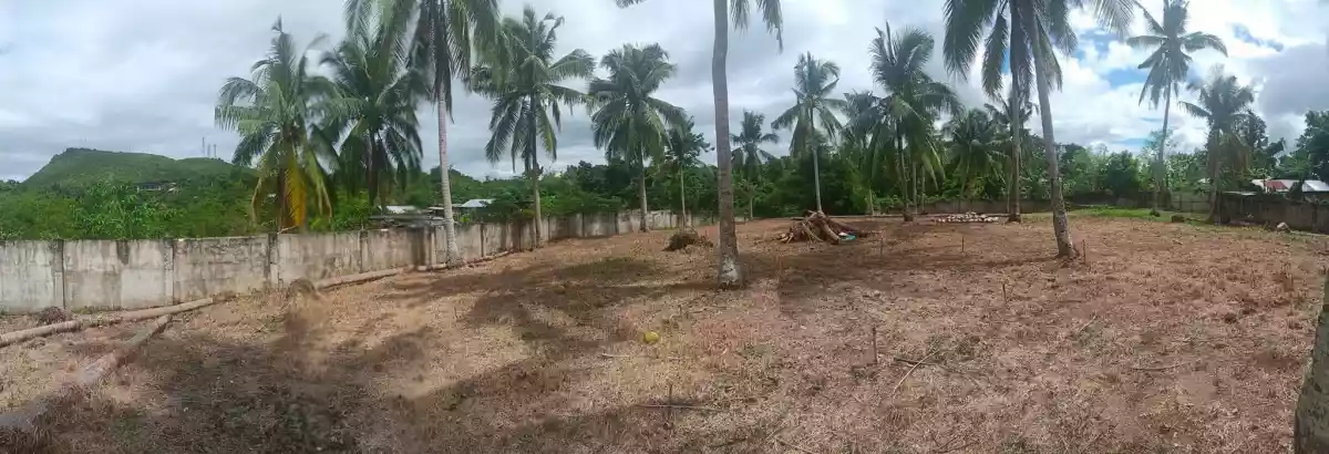 Guiwanon Baclayon — Residential Lot in Bohol, Philippines — Photo 3