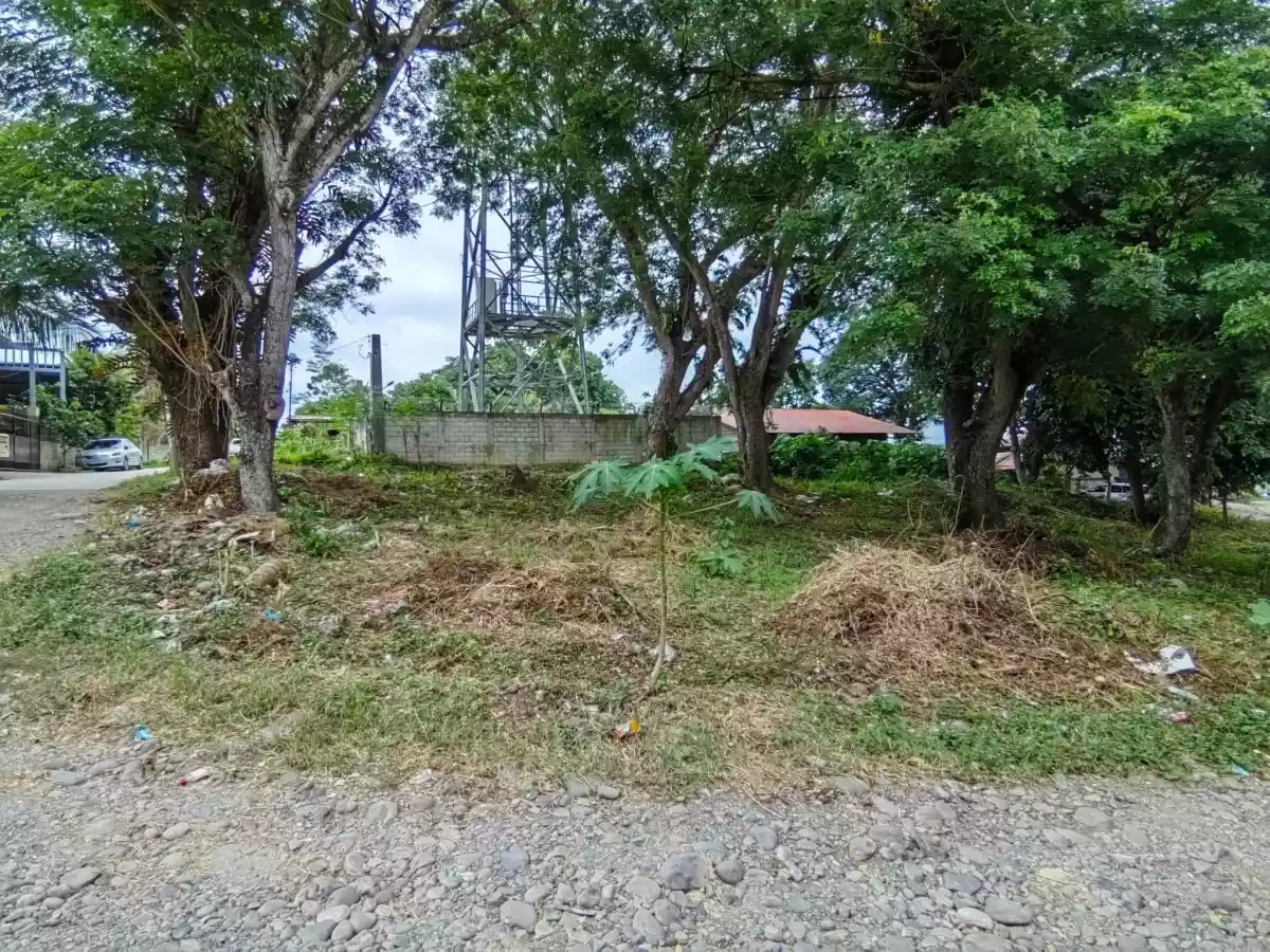 Residential Lot in Ma-a (Near Gap Farm) - photo 2