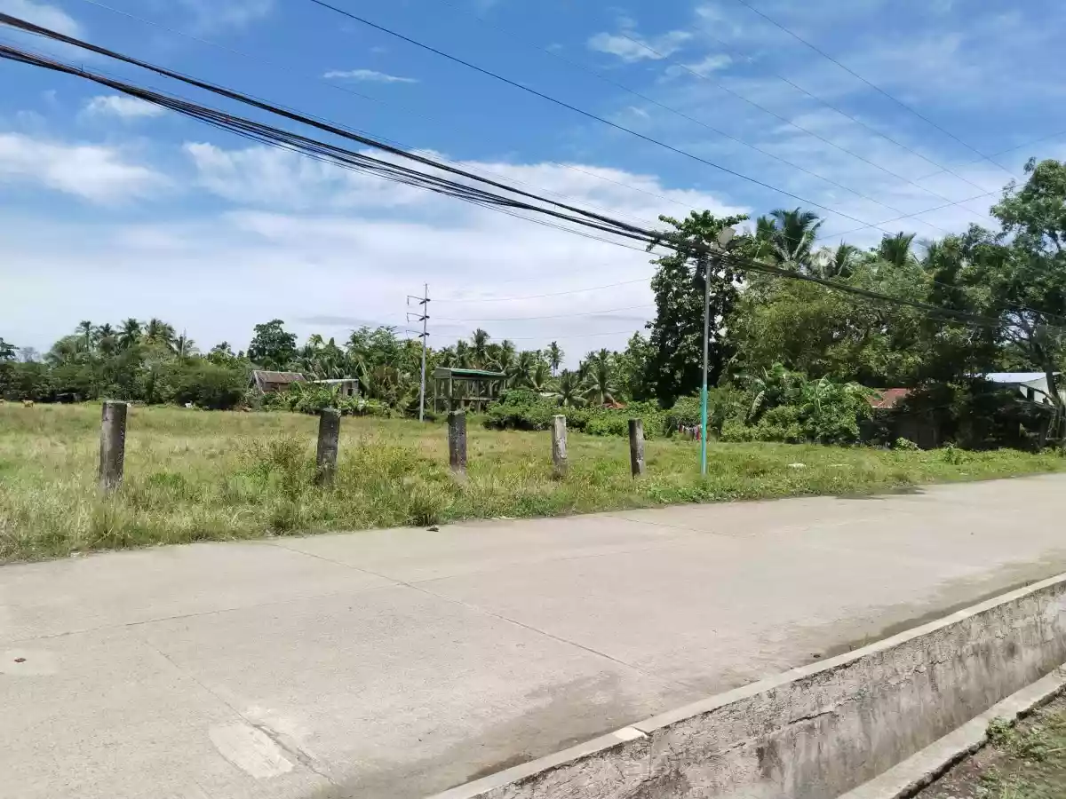 LOT FOR SALE — Commercial Lot in Dipolog City, Zamboanga del Norte, Philippines — Photo 2
