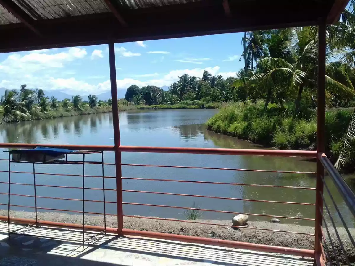 PUNONG FOR SALE in SILAY - photo 6
