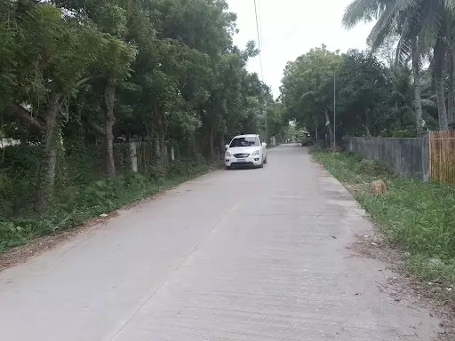 Beachfront lot for sale — Beach Lot in Carmen, Cebu, Philippines — Photo 4