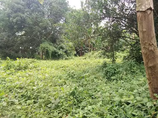 Lot for Sale in Tacunan Davao — Residential Lot in Davao del Sur, Philippines — Photo 3