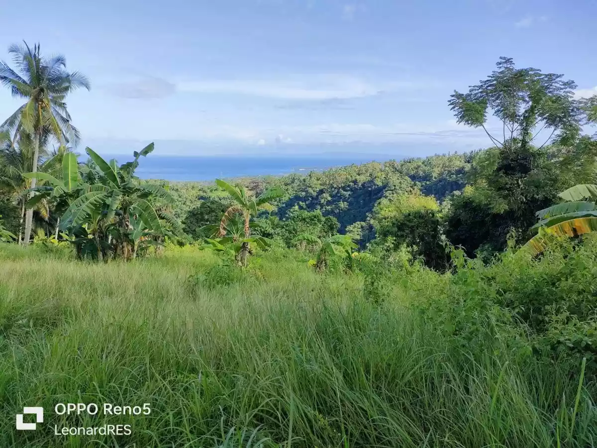 1.4993 Hectares Lot for Sale in Cambaloctot San Jose — Agricultural Lot in Negros Oriental, Philippines — Photo 3