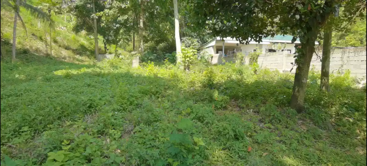 FOR SALE 6100 sqm RESIDENTIAL LOT IN KORONADAL  - photo 2