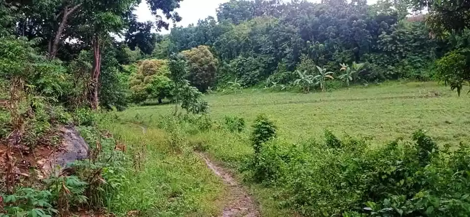 Affordable lot - photo 4