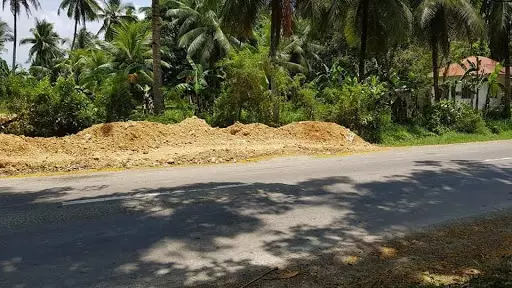 LOT for sale or for lease in Asturias, Cebu — Agricultural Lot in Asturias, Cebu, Philippines — Photo 2