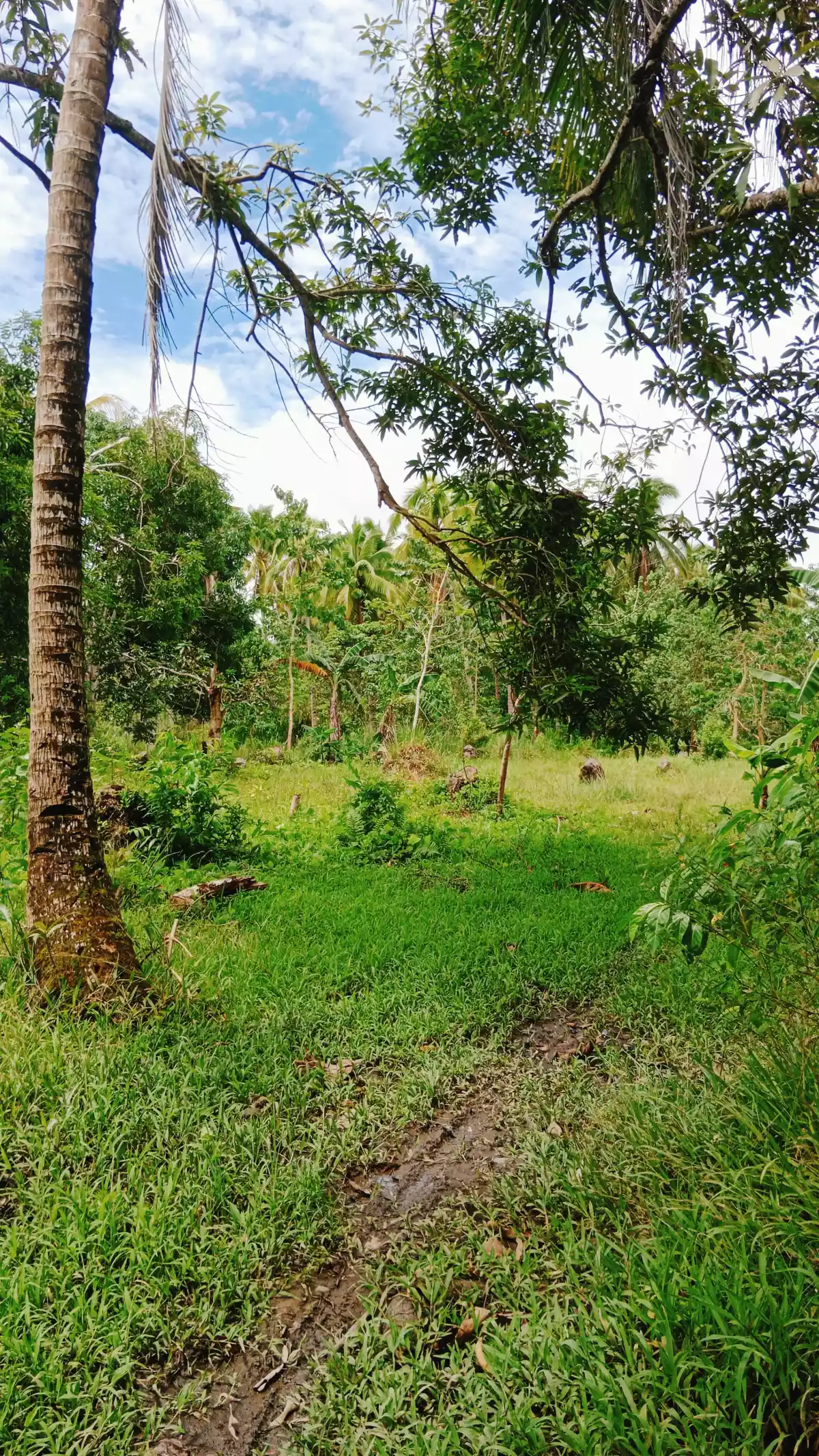 Residential/Agricultural For Sale - photo 6