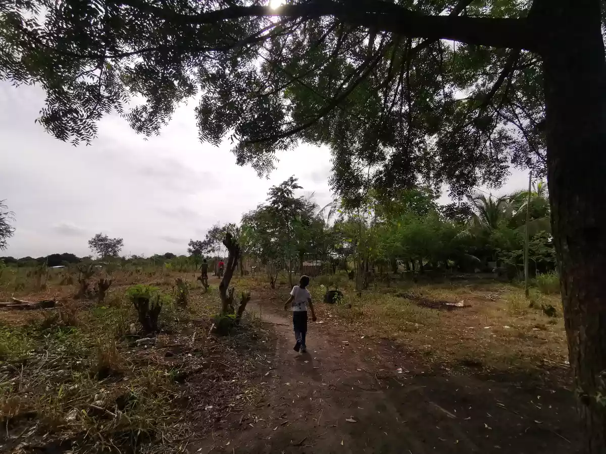 1000sqm and 1500sqm Lot at the Back of TLG Mabuhay  - photo 4